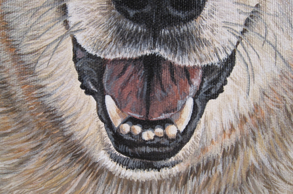 mouth detail