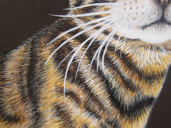 detail shot of Grace's chest, love the patterns in her fur