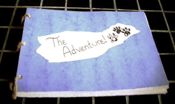 the adventure book